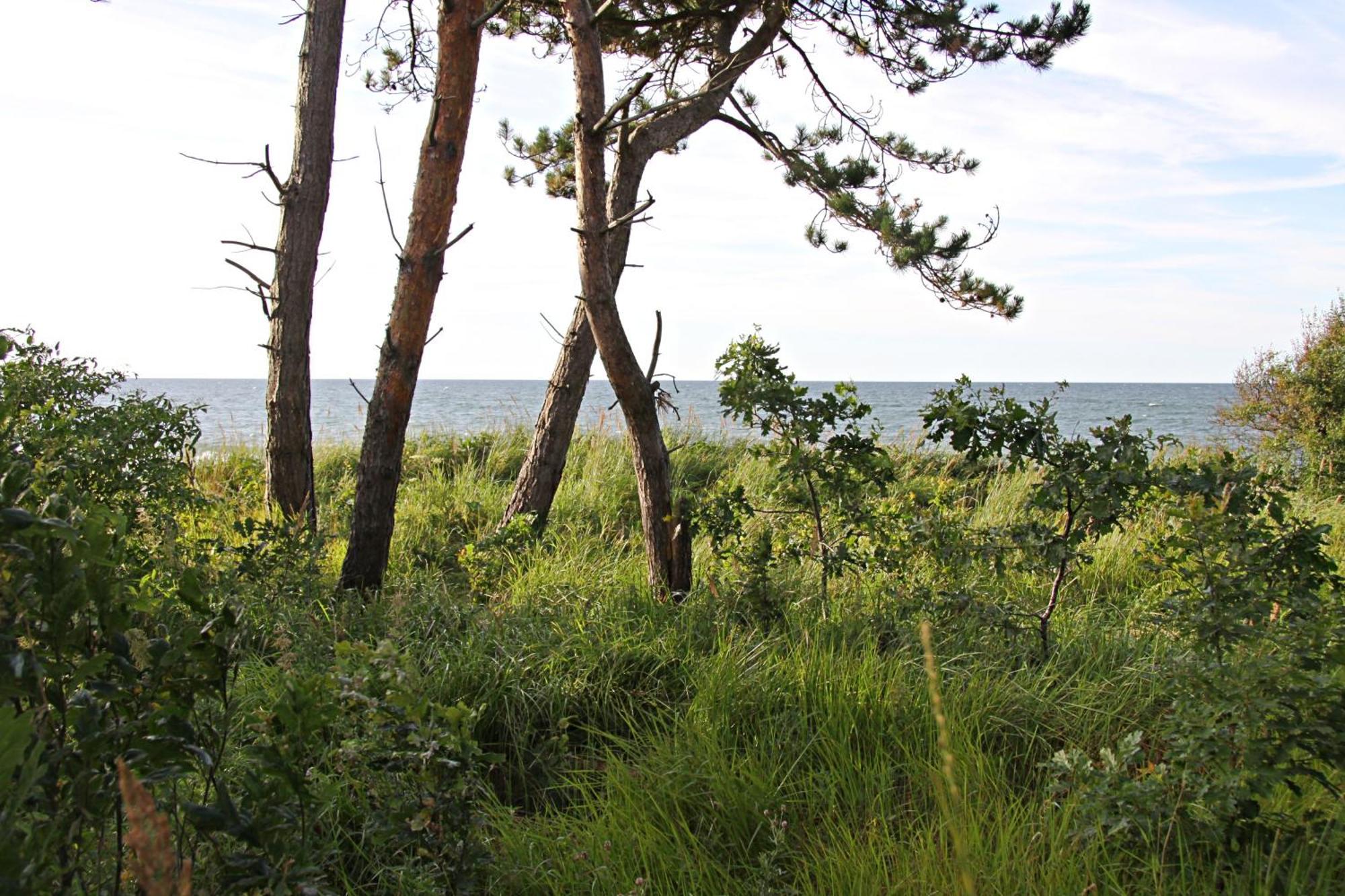 Let'S Sea - 2 Bedroom - Premium Baltic Apartment With Front Sea View Garden And Spa Access Gąski エクステリア 写真