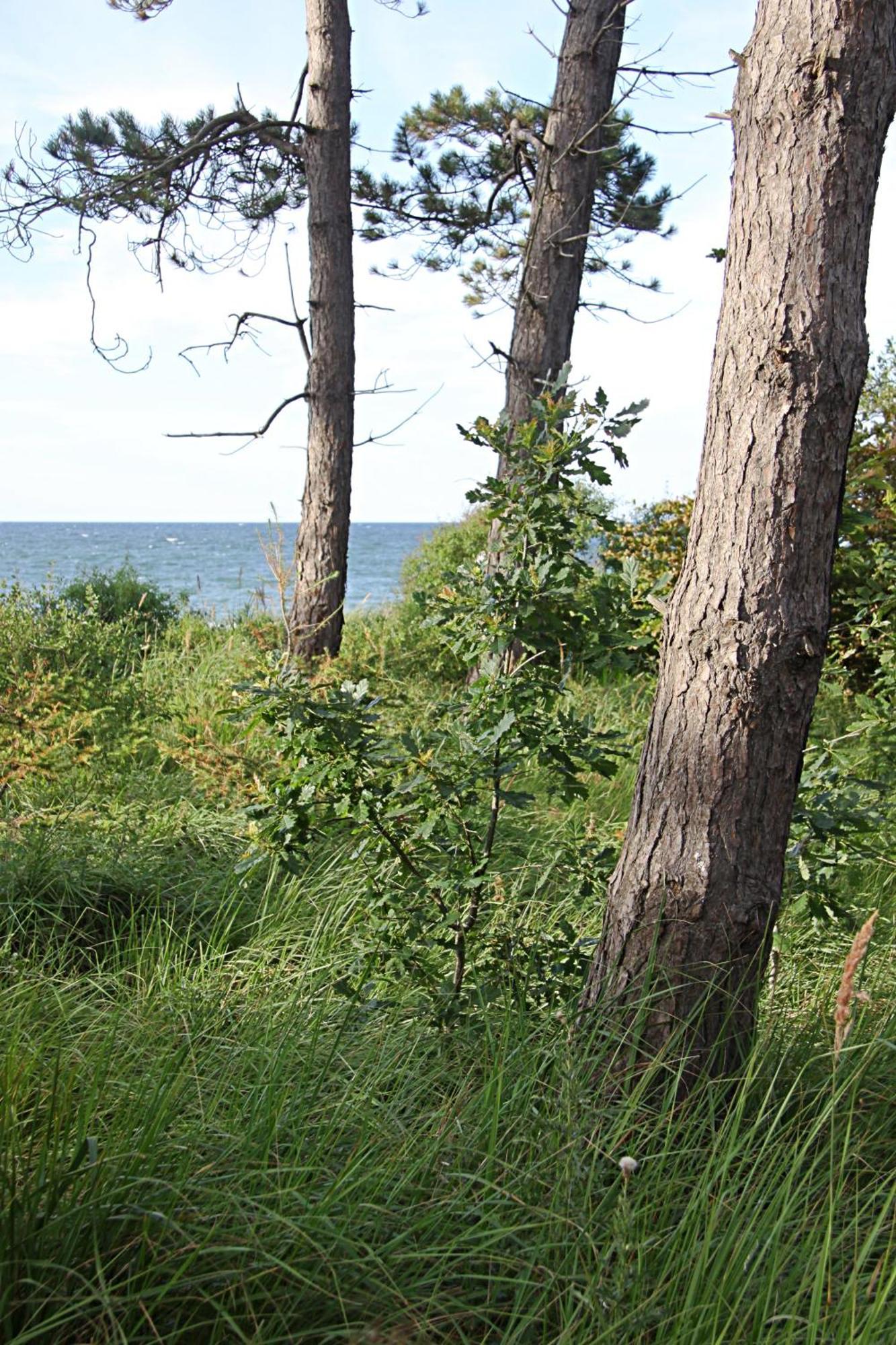 Let'S Sea - 2 Bedroom - Premium Baltic Apartment With Front Sea View Garden And Spa Access Gąski エクステリア 写真