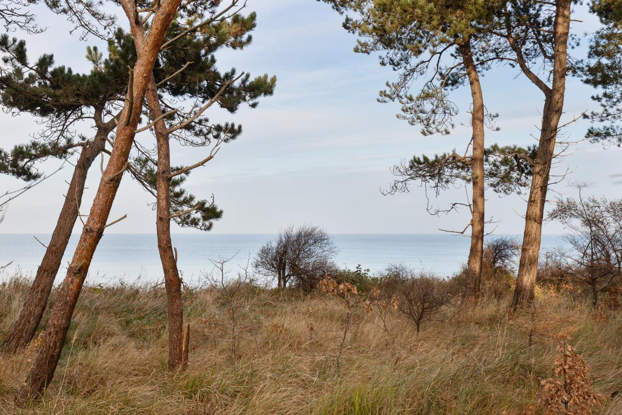 Let'S Sea - 2 Bedroom - Premium Baltic Apartment With Front Sea View Garden And Spa Access Gąski エクステリア 写真